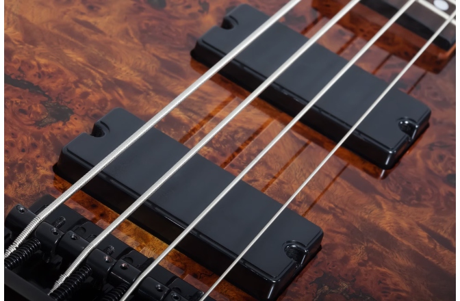 Bas electric Schecter C-4 Standard (TB)