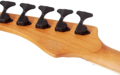 Bas electric Schecter C-5 Standard (CS)