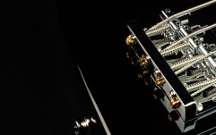 Bas electric Shergold Telstar Standard Bass SBT14 Black Gloss