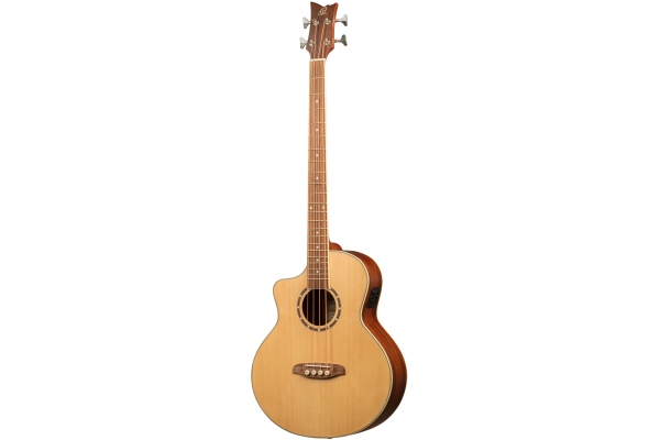 Deep Series Acoustic Bass 4-String Lefty - Medium Scale