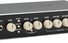 Bass Head Fender Rumble 800 HD
