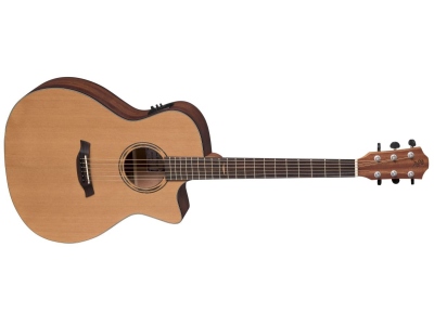 AR11C/ACE Auditorium Solid Canadian Cedar