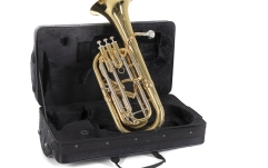 Bb-Baritone  Conn Bb-Baritone BH651 auriu