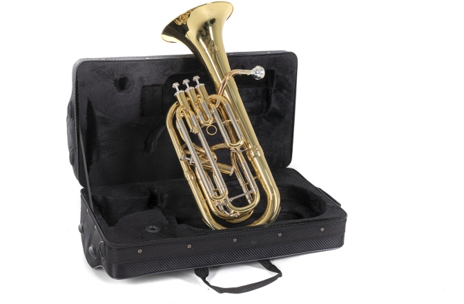 Bb-Baritone  Conn Bb-Baritone BH651 auriu