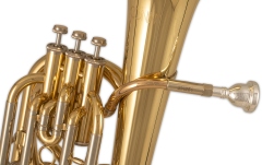 Bb-Baritone  Conn Bb-Baritone BH651 auriu
