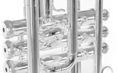 Bb-Cornet  Roy Benson Bb-Cornet CR-202S 