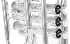 Bb-Cornet  Roy Benson Bb-Cornet CR-202S 