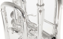 Bb-Cornet  Roy Benson Bb-Cornet CR-202S 