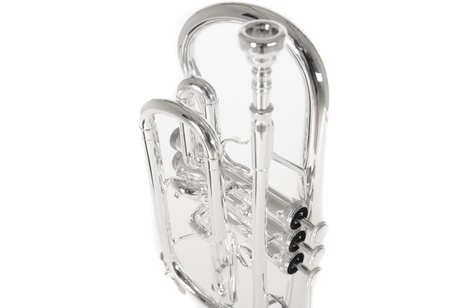 Bb-Cornet  Roy Benson Bb-Cornet CR-202S 