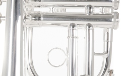 Bb-Cornet  Roy Benson Bb-Cornet CR-202S 