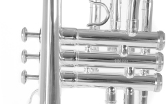 Bb-Cornet  Roy Benson Bb-Cornet CR-202S 