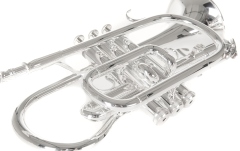 Bb-Cornet  Roy Benson Bb-Cornet CR-202S 