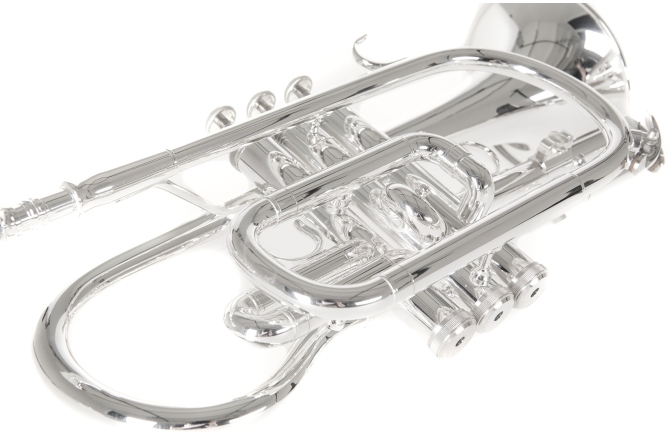 Bb-Cornet  Roy Benson Bb-Cornet CR-202S 