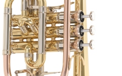 Bb-Cornet   Roy Benson Bb-Cornet  CR-302 
