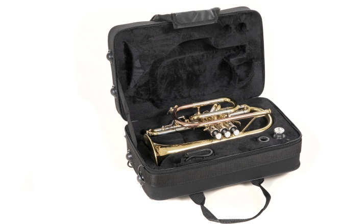 Bb-Cornet   Roy Benson Bb-Cornet  CR-302 