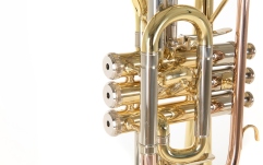 Bb-Cornet   Roy Benson Bb-Cornet  CR-302 