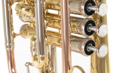 Bb-Cornet   Roy Benson Bb-Cornet  CR-302 
