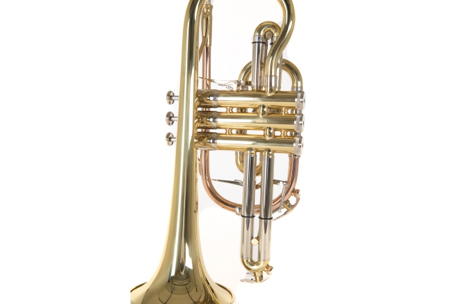 Bb-Cornet   Roy Benson Bb-Cornet  CR-302 