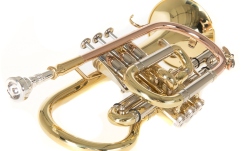 Bb-Cornet   Roy Benson Bb-Cornet  CR-302 