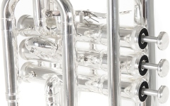 Bb-Cornet  Roy Benson Bb-Cornet CR-302S 