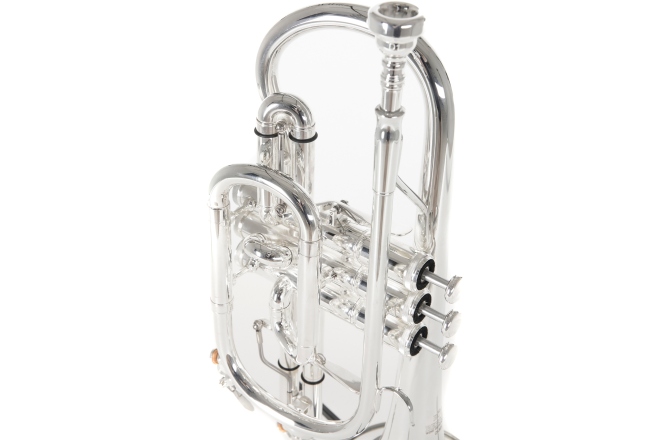Bb-Cornet  Roy Benson Bb-Cornet CR-302S 