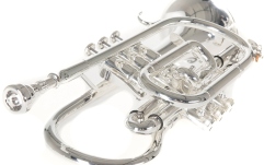 Bb-Cornet  Roy Benson Bb-Cornet CR-302S 