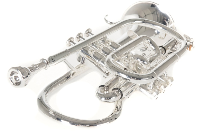 Bb-Cornet  Roy Benson Bb-Cornet CR-302S 