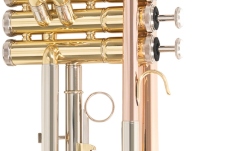 Bb-Trompeta Roy Benson Bb-Trompeta TR-202G 