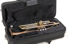 Bb-Trompeta Roy Benson Bb-Trompeta TR-202G 