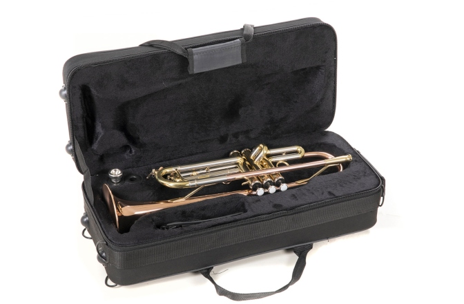 Bb-Trompeta Roy Benson Bb-Trompeta TR-202G 