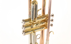 Bb-Trompeta Roy Benson Bb-Trompeta TR-202G 