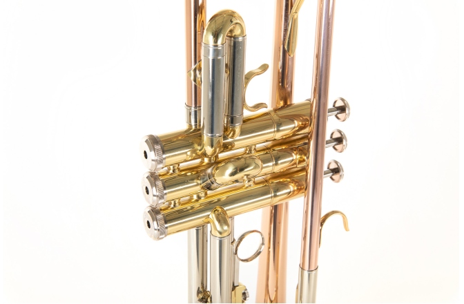 Bb-Trompeta Roy Benson Bb-Trompeta TR-202G 