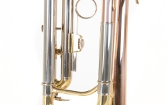 Bb-Trompeta Roy Benson Bb-Trompeta TR-202G 