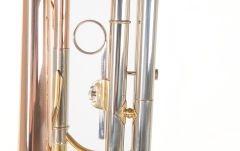 Bb-Trompeta Roy Benson Bb-Trompeta TR-202G 