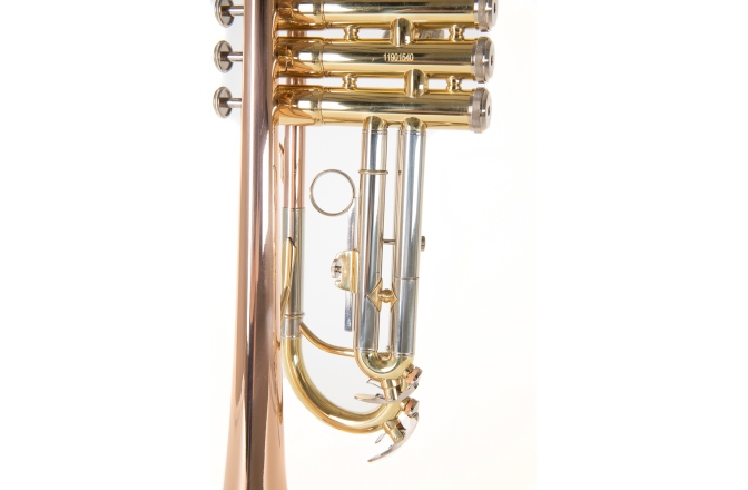 Bb-Trompeta Roy Benson Bb-Trompeta TR-202G 