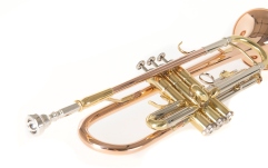Bb-Trompeta Roy Benson Bb-Trompeta TR-202G 