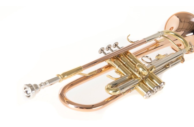 Bb-Trompeta Roy Benson Bb-Trompeta TR-202G 