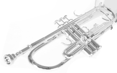 Bb-Trompeta Roy Benson Bb-Trompeta TR-202S 