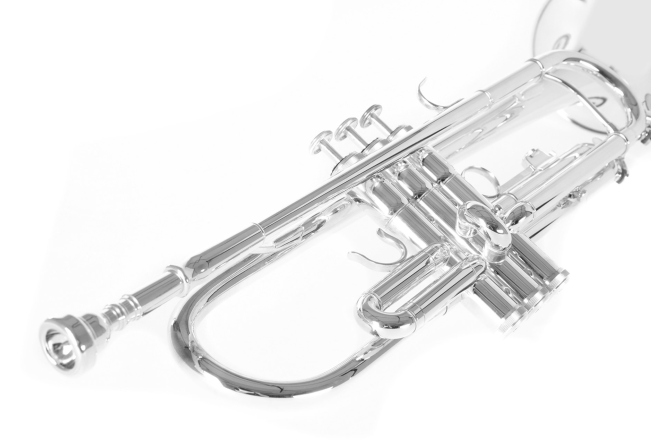 Bb-Trompeta Roy Benson Bb-Trompeta TR-202S 