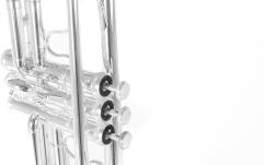 Bb-Trompeta Roy Benson Bb-Trompeta TR-202S 