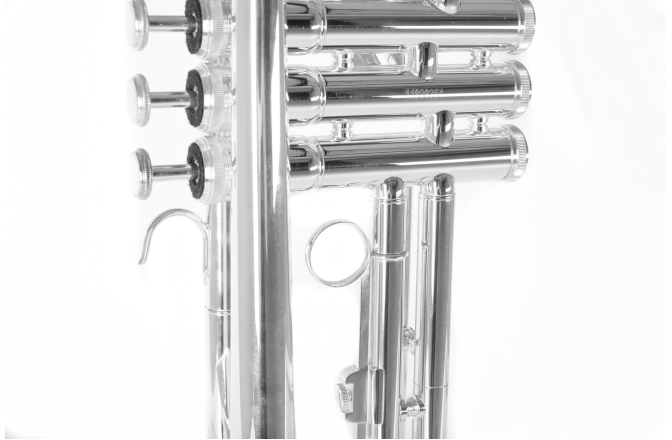 Bb-Trompeta Roy Benson Bb-Trompeta TR-202S 