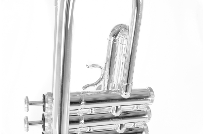 Bb-Trompeta Roy Benson Bb-Trompeta TR-202S 