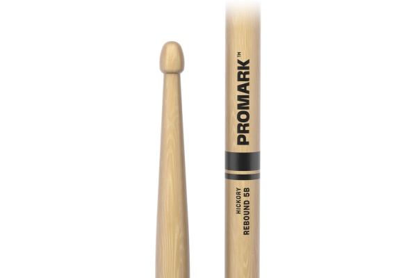Rebound 5B Hickory 