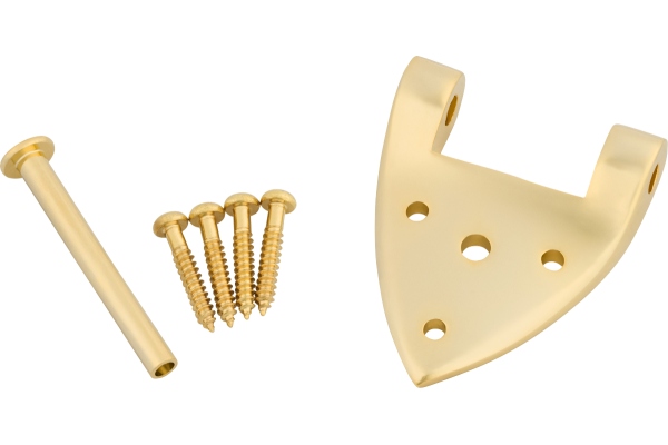 B3/6C Gretsch Hinge with Hinge Pin and Screws Gold