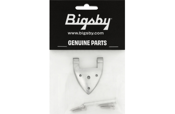 Bigsby Bigsby B3/6C Gretsch Hinge with Hinge Pin and Screws Polished