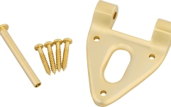 Bigsby Bigsby Conventional Hinge w/Hinge Pin and Screws Gold
