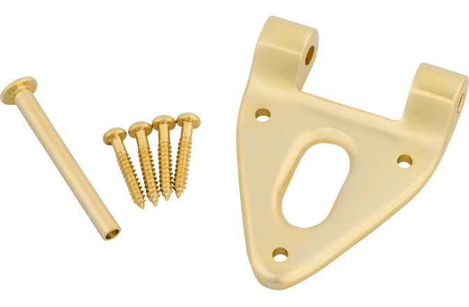 Bigsby Bigsby Conventional Hinge w/Hinge Pin and Screws Gold