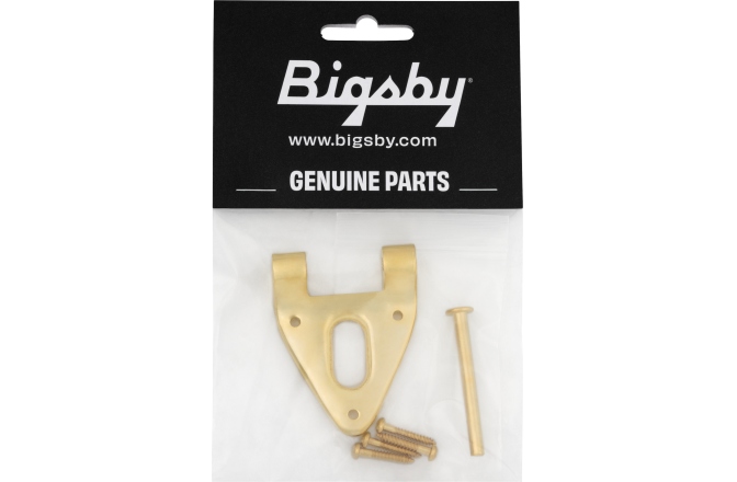 Bigsby Bigsby Conventional Hinge w/Hinge Pin and Screws Gold