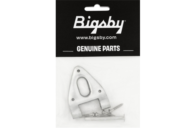 Bigsby Bigsby Conventional Hinge w/Hinge Pin and Screws Polished