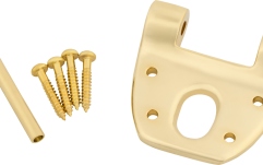 Bigsby Bigsby Extra Short Hinge w/Hinge Pin and Screws Gold